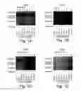 Fig. 02 - Mucin Fusion Polypeptide Vaccines, Compositions And Methods Of Use Thereof
