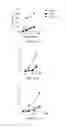 Fig. 12 - TLR3 binding agents