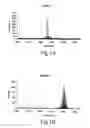 Fig. 02 - Methylated heparin-binding hemagglutinin recombinant mycobacterial antigen, preparation method and immunogenic compositions comprising same