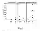 Fig. 06 - Methylated heparin-binding hemagglutinin recombinant mycobacterial antigen, preparation method and immunogenic compositions comprising same