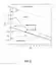 Fig. 07 - STABILIZATION OF BIOSOLIDS USING IRON NANOPARTICLES