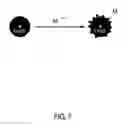 Fig. 08 - STABILIZATION OF BIOSOLIDS USING IRON NANOPARTICLES