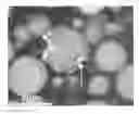 Fig. 01 - PROTEIN PARTICLES AND THEIR USE IN FOOD