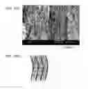 Fig. 12 - C/C COMPOSITE MATERIAL MOLDED BODY AND METHOD FOR MANUFACTURING THE SAME