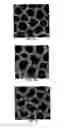 Fig. 04 - MULTIPLE WALLED NESTED COAXIAL NANOSTRUCTURES