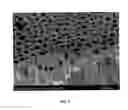 Fig. 05 - MULTIPLE WALLED NESTED COAXIAL NANOSTRUCTURES