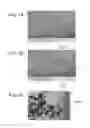 Fig. 08 - Carbon fiber structure and method for manufacturing the same