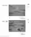 Fig. 13 - Carbon fiber structure and method for manufacturing the same