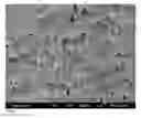 Fig. 04 - Process for Preparing Conductive Films and Articles Prepared Using the Process