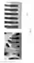 Fig. 11 - Methods of producing structures using a developer-soluble layer with multilayer technology