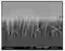 Fig. 01 - Process for Preparing Conductive Films and Articles Prepared Using the Process