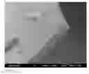 Fig. 03 - Process for Preparing Conductive Films and Articles Prepared Using the Process
