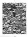 Fig. 05 - ADAPTIVE DISRUPTIVE ENVIRONMENTAL GRAPHIC DESIGN CLASS PATTERN AND METHODS RELATED THERETO