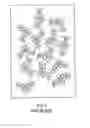 Fig. 05 - SANITARY TISSUE PRODUCTS COMPRISING A SURFACE PATTERN AND METHODS FOR MAKING SAME