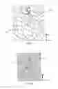 Fig. 09 - SANITARY TISSUE PRODUCTS COMPRISING A SURFACE PATTERN AND METHODS FOR MAKING SAME