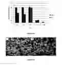 Fig. 10 - Block copolymer blends