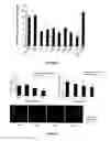 Fig. 13 - Block copolymer blends