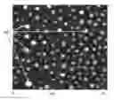 Fig. 01 - Coated, antimicrobial, chemically strengthened glass and method of making