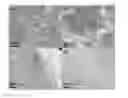 Fig. 01 - Graphene aerogels