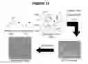 Fig. 12 - Graphene aerogels
