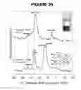 Fig. 31 - Graphene aerogels