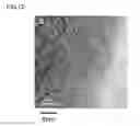 Fig. 05 - Carbon material and method for producing same