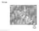 Fig. 12 - Carbon material and method for producing same