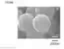 Fig. 13 - Carbon material and method for producing same