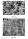 Fig. 03 - Method for preparing silica-dysprosium oxide core-shell nanoparticles