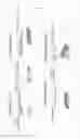 Fig. 03 - Thin-Filmy Polymeric Structure and Method of Preparing the Same