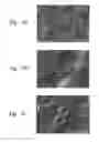 Fig. 03 - Semiconductor processing apparatus comprising a coating formed from a solid solution of yttrium oxide and zirconium oxide