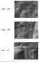 Fig. 04 - Semiconductor processing apparatus comprising a coating formed from a solid solution of yttrium oxide and zirconium oxide
