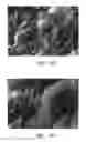 Fig. 07 - Semiconductor processing apparatus comprising a coating formed from a solid solution of yttrium oxide and zirconium oxide