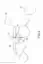 Fig. 10 - Polymer battery module packaging sheet and a method of manufacturing the same