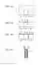Fig. 12 - Battery and method for producing the same