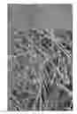 Fig. 01 - LITHIUM ALLOY-CARBON COMPOSITE NANOFIBERS AND METHODS OF FABRICATION