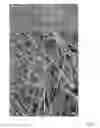 Fig. 05 - LITHIUM ALLOY-CARBON COMPOSITE NANOFIBERS AND METHODS OF FABRICATION