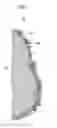 Fig. 02 - Active material including a thin film graphite layer and rechargeable lithium battery
