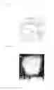 Fig. 02 - CATHODE ACTIVE MATERIAL AND NONAQUEOUS SECONDARY BATTERY INCLUDING CATHODE HAVING THE CATHODE ACTIVE MATERIAL