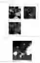 Fig. 04 - CATHODE ACTIVE MATERIAL AND NONAQUEOUS SECONDARY BATTERY INCLUDING CATHODE HAVING THE CATHODE ACTIVE MATERIAL