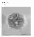 Fig. 04 - Palladium-Platinum Nanostructures And Methods For Their Preparation