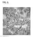 Fig. 07 - Palladium-Platinum Nanostructures And Methods For Their Preparation