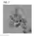 Fig. 08 - Palladium-Platinum Nanostructures And Methods For Their Preparation