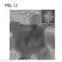 Fig. 13 - Palladium-Platinum Nanostructures And Methods For Their Preparation