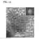 Fig. 14 - Palladium-Platinum Nanostructures And Methods For Their Preparation