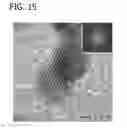 Fig. 16 - Palladium-Platinum Nanostructures And Methods For Their Preparation