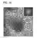 Fig. 17 - Palladium-Platinum Nanostructures And Methods For Their Preparation