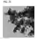 Fig. 22 - Palladium-Platinum Nanostructures And Methods For Their Preparation