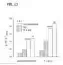 Fig. 24 - Palladium-Platinum Nanostructures And Methods For Their Preparation
