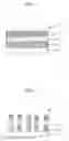 Fig. 02 - Photomask Blank, Photomask, and Pattern Transfer Method Using Photomask